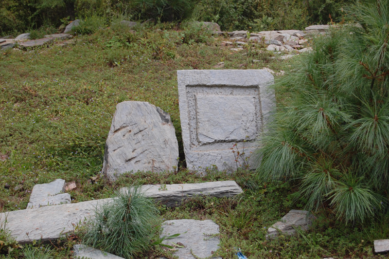 Remnants of olden Temples